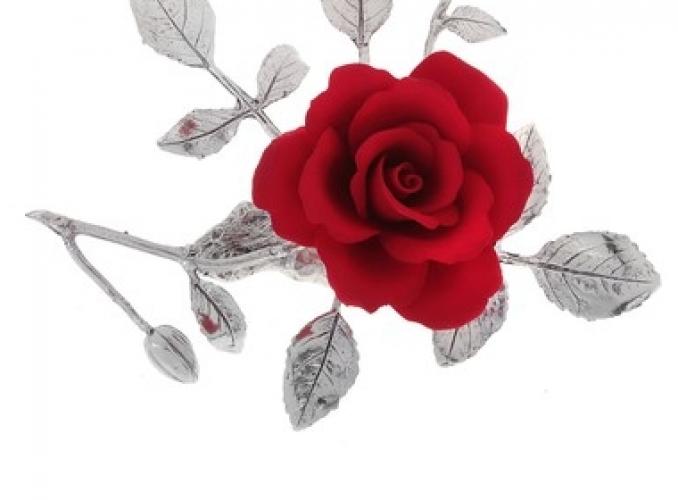 Декоративная роза Серебряные листики