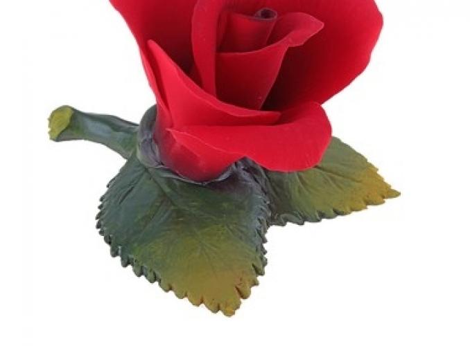 Декоративная роза Little Rose