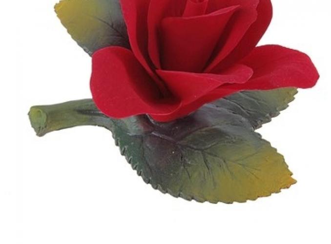 Декоративная роза Красный бутон