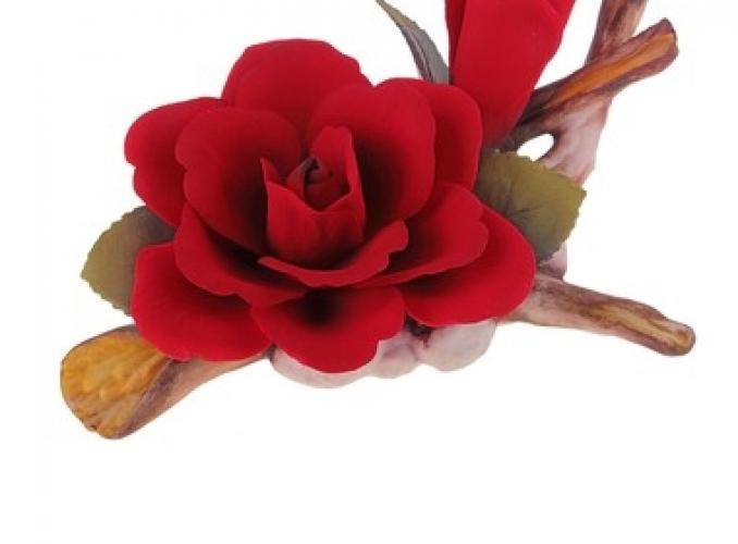 Декоративная роза Elisabeth