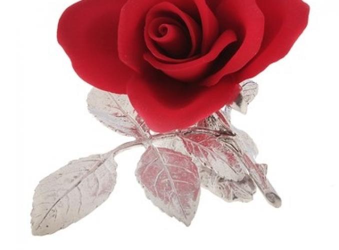 Декоративная роза Амбассадор